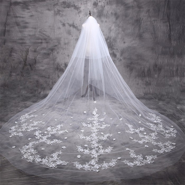 Bridal Veil and Wedding Dress Accessories